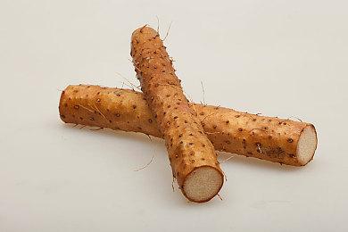 《野兽越野摩托车5》上线Steam 3月17日正式发售